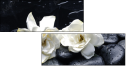 32251345