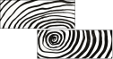 324703304