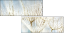 32821180