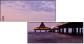 33920389