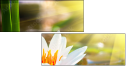34213537