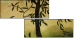 34338759