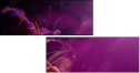 34429409