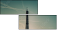 35687420