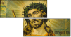 36638994