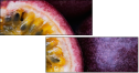 36705995