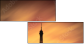 38051708