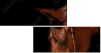 38086864