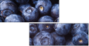 38114663