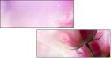 39098232