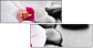 40051892