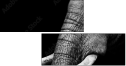 41216080