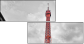 41892337