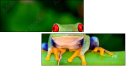 42467641