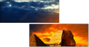 42751455