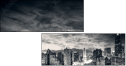 42940854