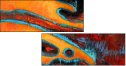 42949973