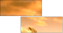 42979292