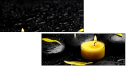 43880281