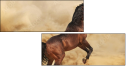 43906966