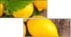 43956293