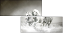 44040199