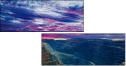 44044757
