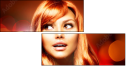 44542040