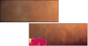 44571063