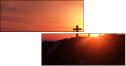 44589020