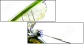 44679167