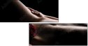 45024953