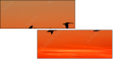 45440307