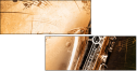 45515921