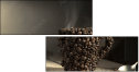 45539882