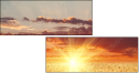 45542699