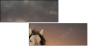 46097266