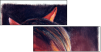 46243808