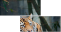 46669646