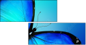 47013557