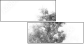 47020348