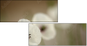 47729615