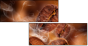 47749181