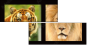 48229420