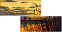 48240212