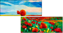 48240226