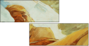 48308195