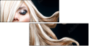 48880493