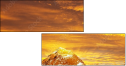 48905885