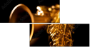 49029894